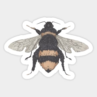 Bee, the gardener's friend. Buzzing! On sky blue. Sticker